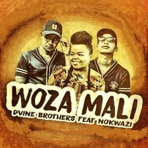 Photo of Dvine Brothers ft Nokwazi – Woza Mali
