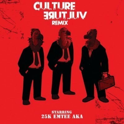 Photo of 25k ft AKA & Emtee – Culture Vulture (Remix)