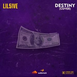 Photo of Lil5ive – Destiny (Cover)