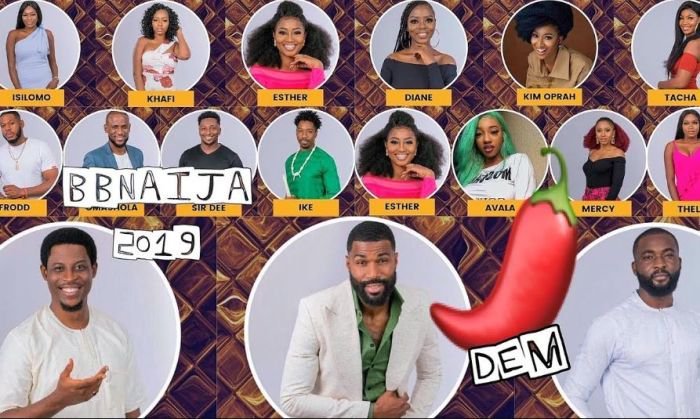 Photo of BBNAIJA:- Checkout How Nigerians Voted Their Favorite Housemate