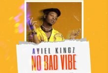Photo of Aviel Kingz – No Bad Vibes