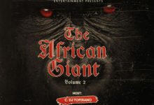 Photo of DJ Topirano – The African Giant Vol 2