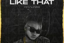 Photo of Promzzy – Like That