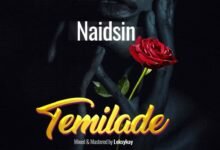 Photo of Naidsin – Temilade